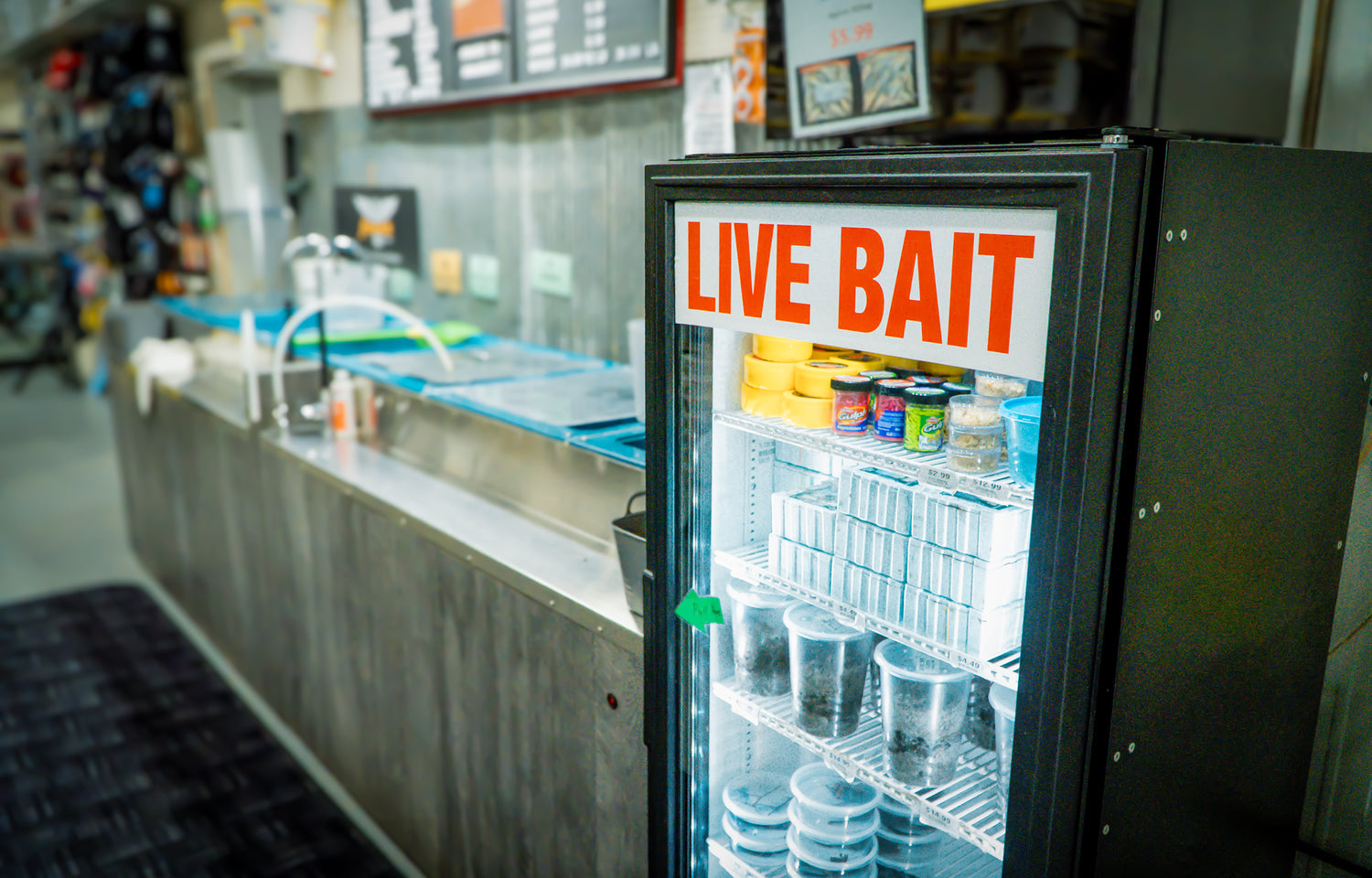 Live Bait and Tackle